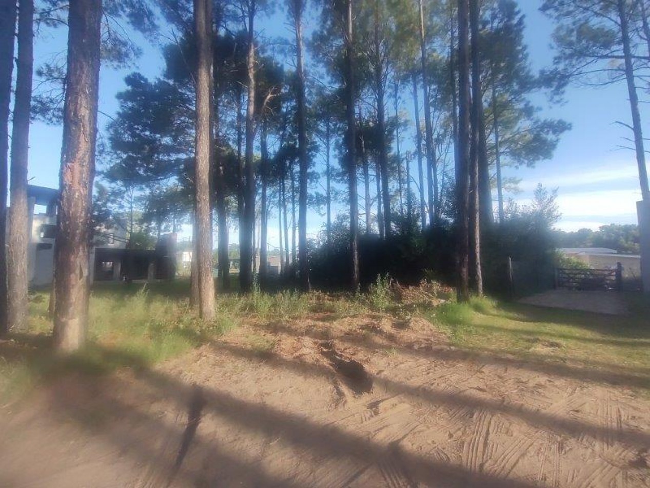 LOTE DE TERRENO EN CUL DE SAC DIONISIO L 11  Mz 192