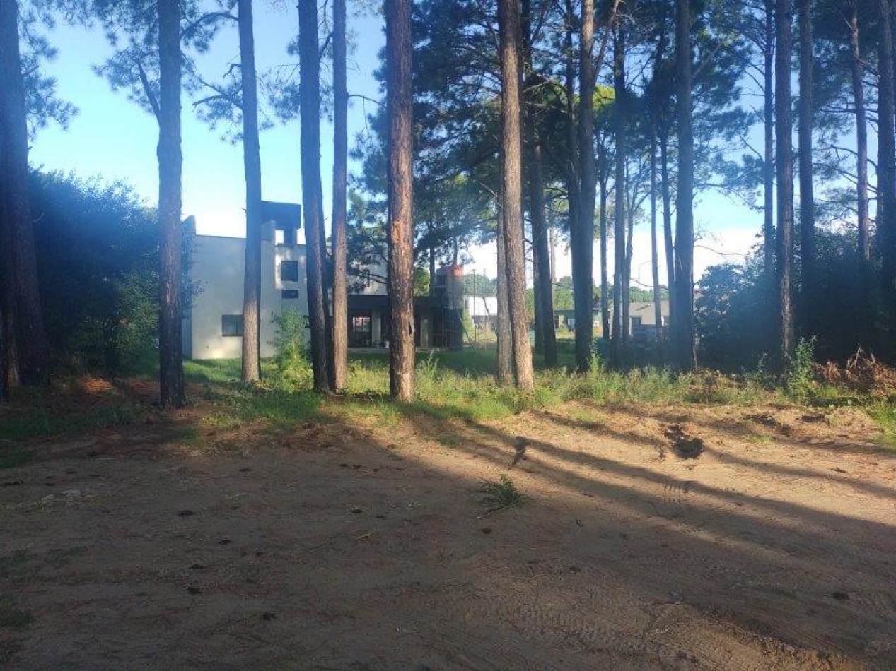 LOTE DE TERRENO EN CUL DE SAC DIONISIO L 11  Mz 192