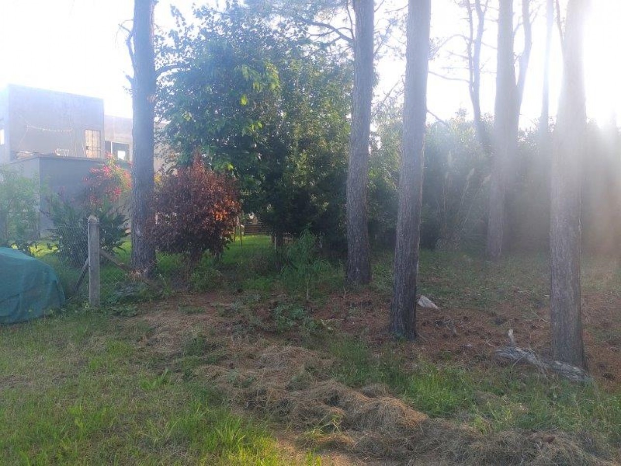 LOTE DE TERRENO EN CUL DE SAC DIONISIO L 11  Mz 192