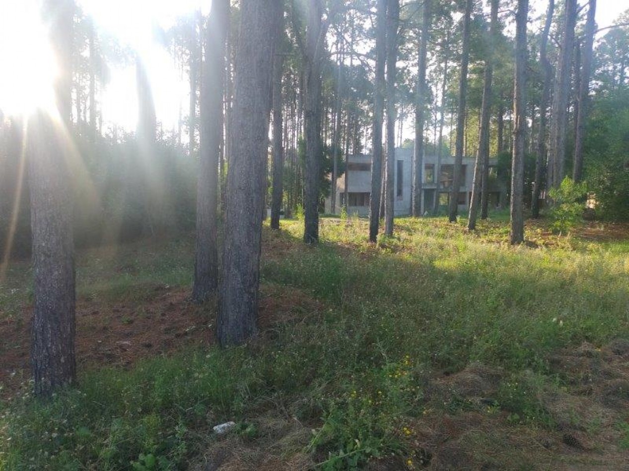 LOTE DE TERRENO EN CUL DE SAC DIONISIO L 11  Mz 192