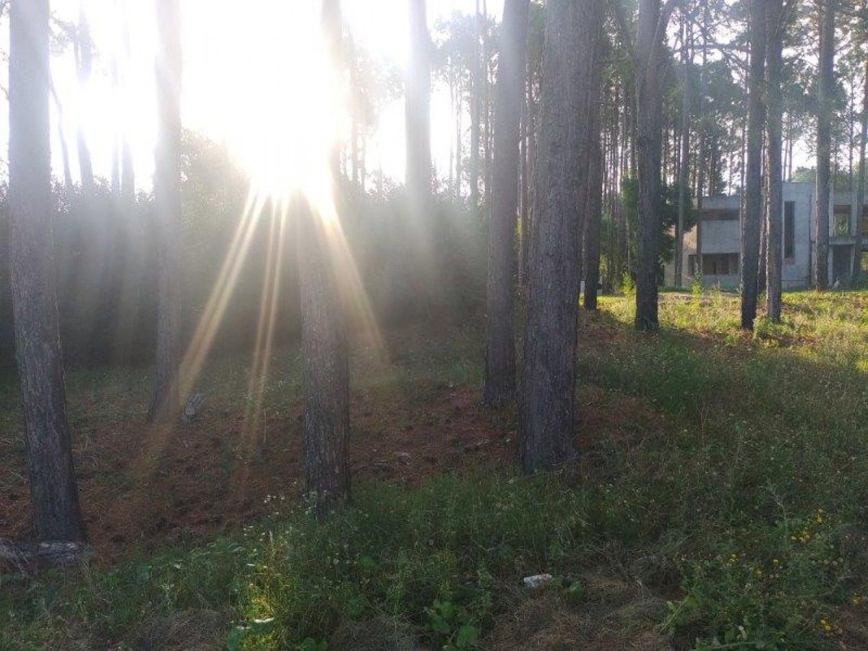 LOTE DE TERRENO EN CUL DE SAC DIONISIO L 11  Mz 192