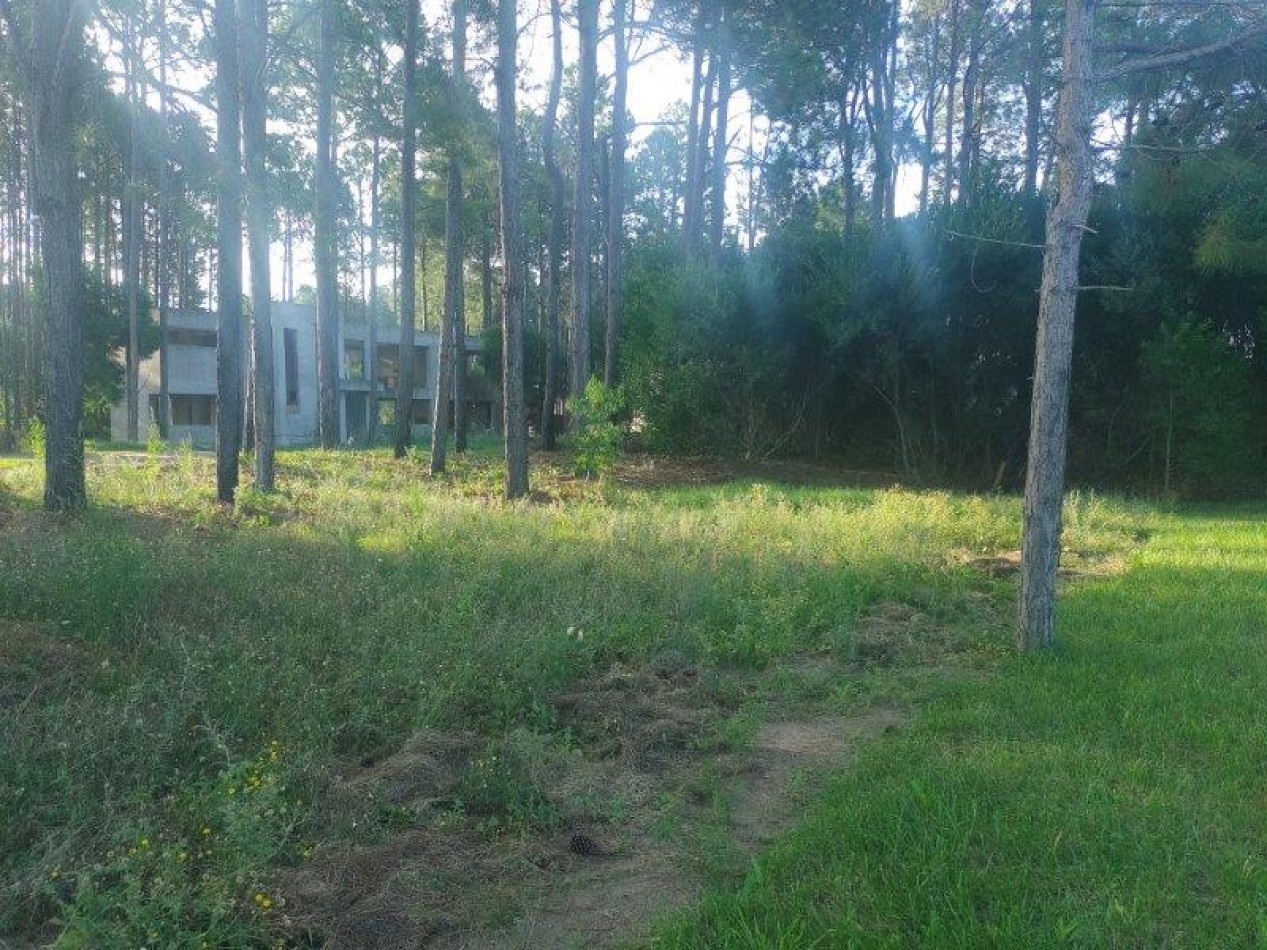 LOTE DE TERRENO EN CUL DE SAC DIONISIO L 11  Mz 192