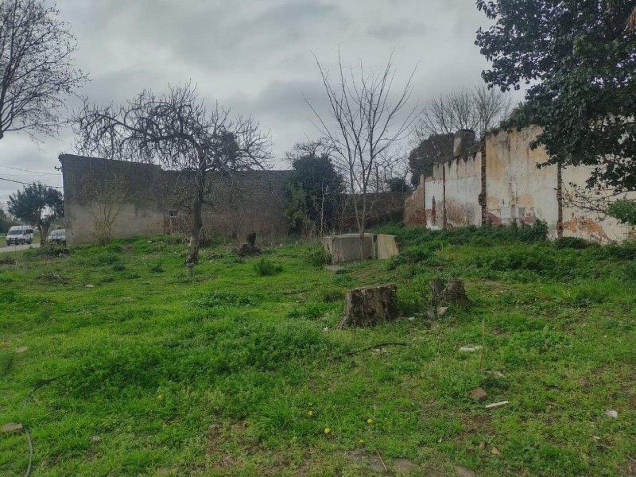 LOTE DE TERRENO