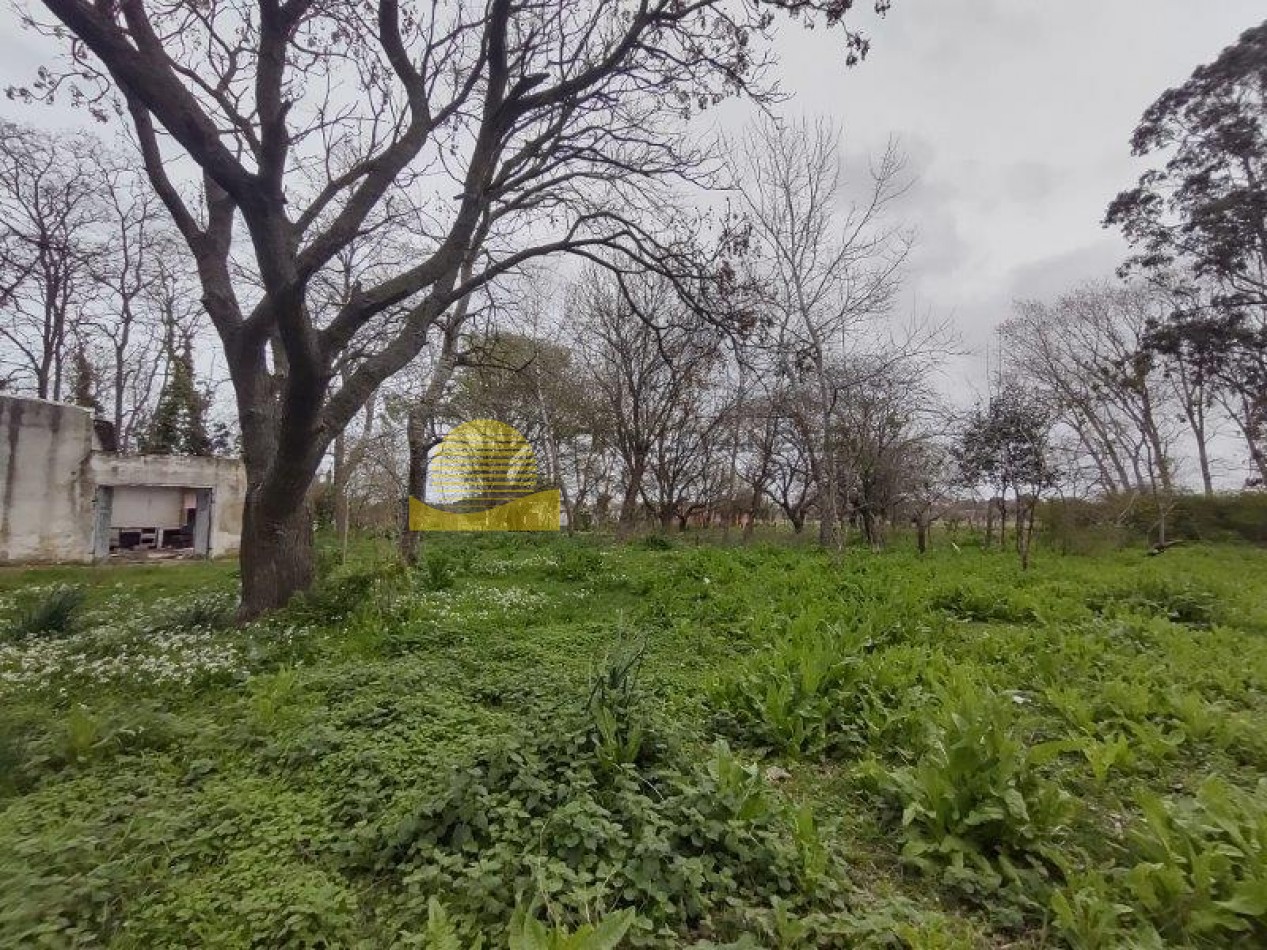 QUINTA BARRIO BELGRANO OPORTUNIDAD!!!