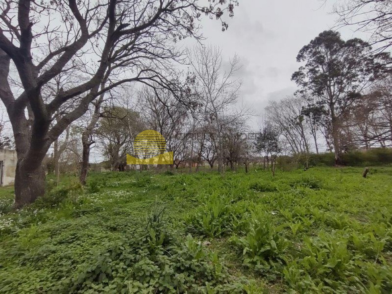 QUINTA BARRIO BELGRANO OPORTUNIDAD!!!