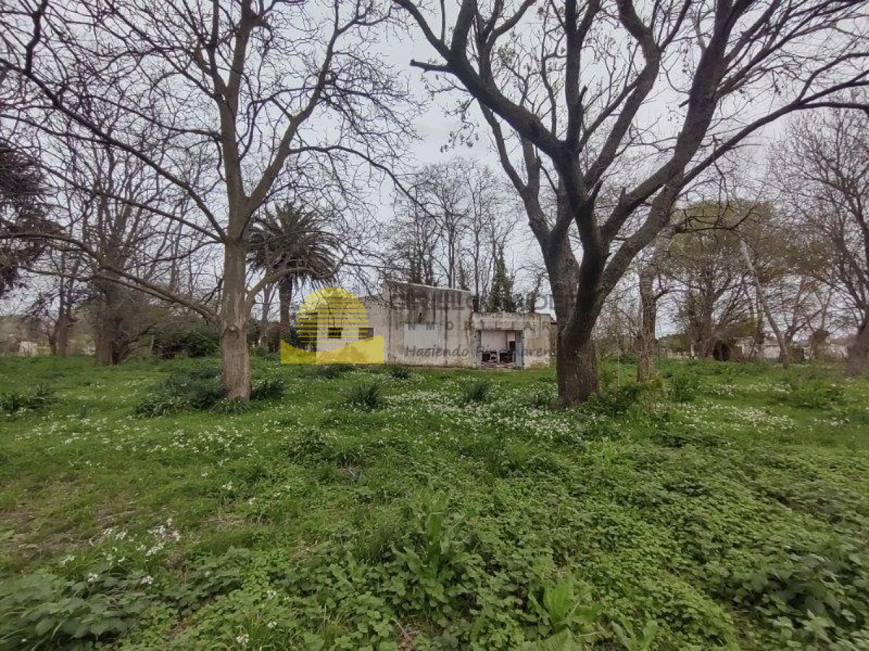 QUINTA BARRIO BELGRANO OPORTUNIDAD!!!