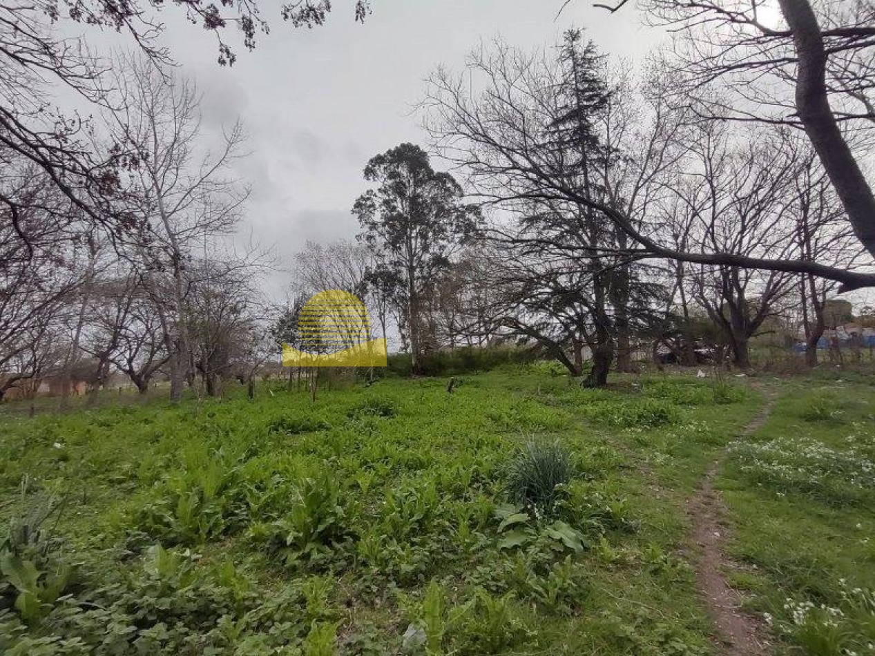 QUINTA BARRIO BELGRANO OPORTUNIDAD!!!
