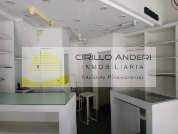 VENTA PINAMAR LOCAL EN CTRO COMERCIAL CON VIVIENDA OPORTUNIDAD