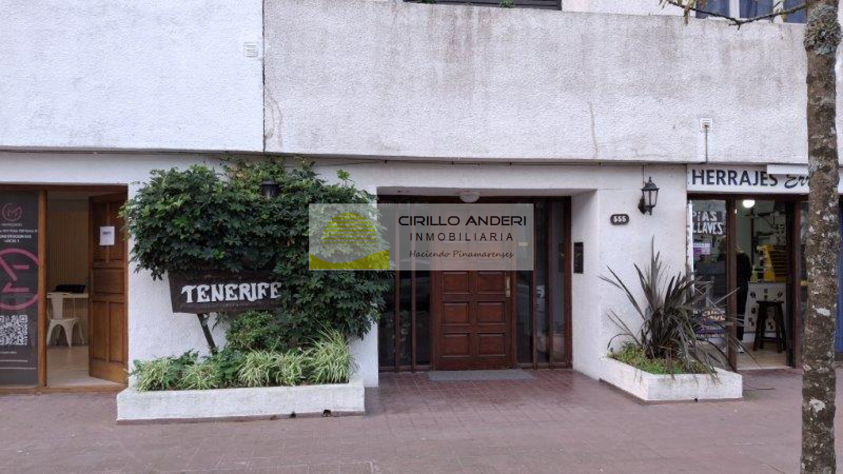 "TENERIFE" CONSTITUCION 555 5 C
