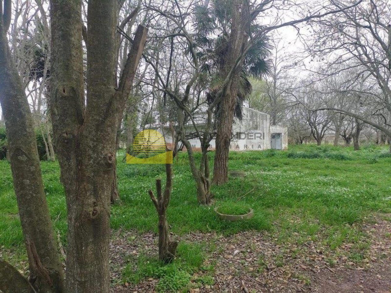 QUINTA BARRIO BELGRANO OPORTUNIDAD!!!