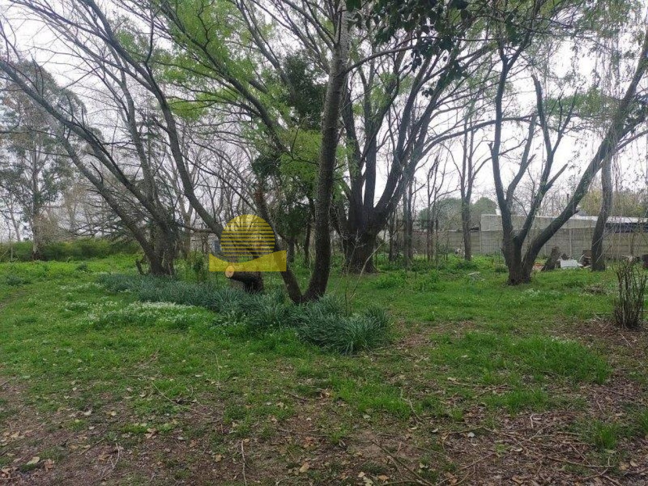 QUINTA BARRIO BELGRANO OPORTUNIDAD!!!