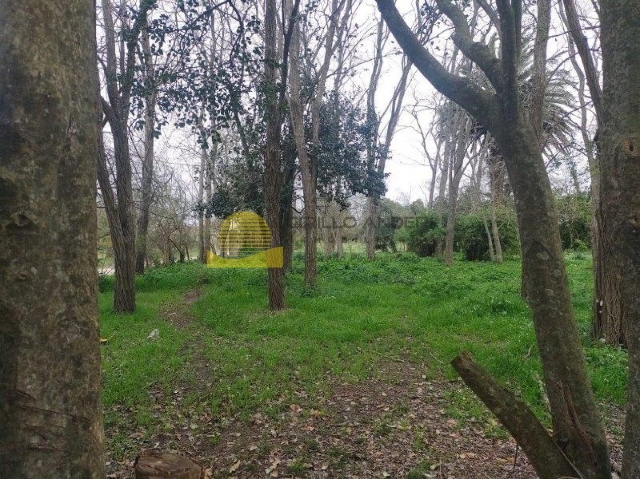 QUINTA BARRIO BELGRANO OPORTUNIDAD!!!