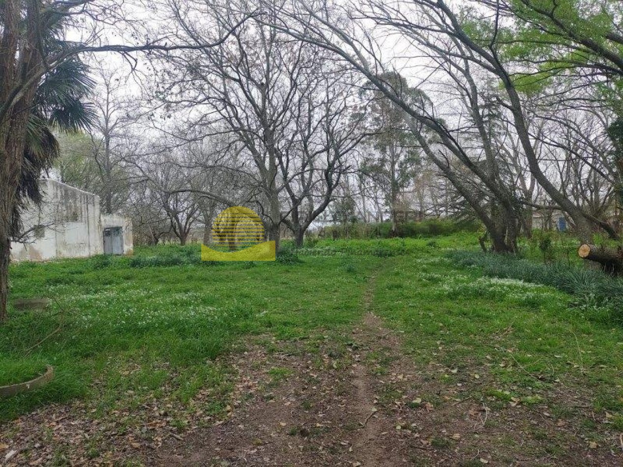 QUINTA BARRIO BELGRANO OPORTUNIDAD!!!