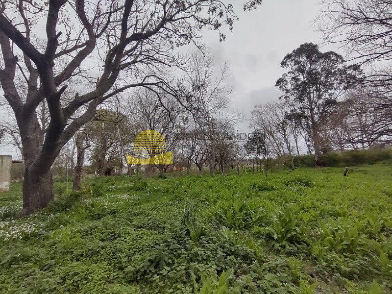 QUINTA BARRIO BELGRANO OPORTUNIDAD!!!