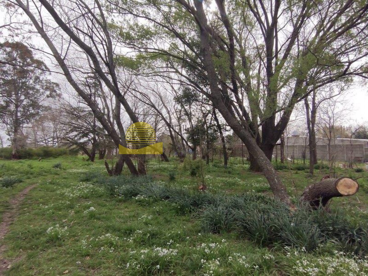QUINTA BARRIO BELGRANO OPORTUNIDAD!!!