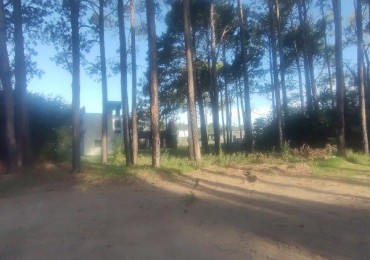 LOTE DE TERRENO EN CUL DE SAC DIONISIO L 11  Mz 192