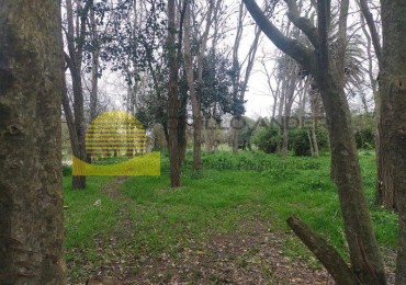 QUINTA BARRIO BELGRANO OPORTUNIDAD!!!